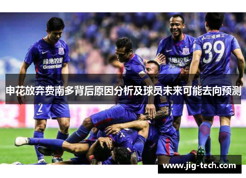 申花放弃费南多背后原因分析及球员未来可能去向预测